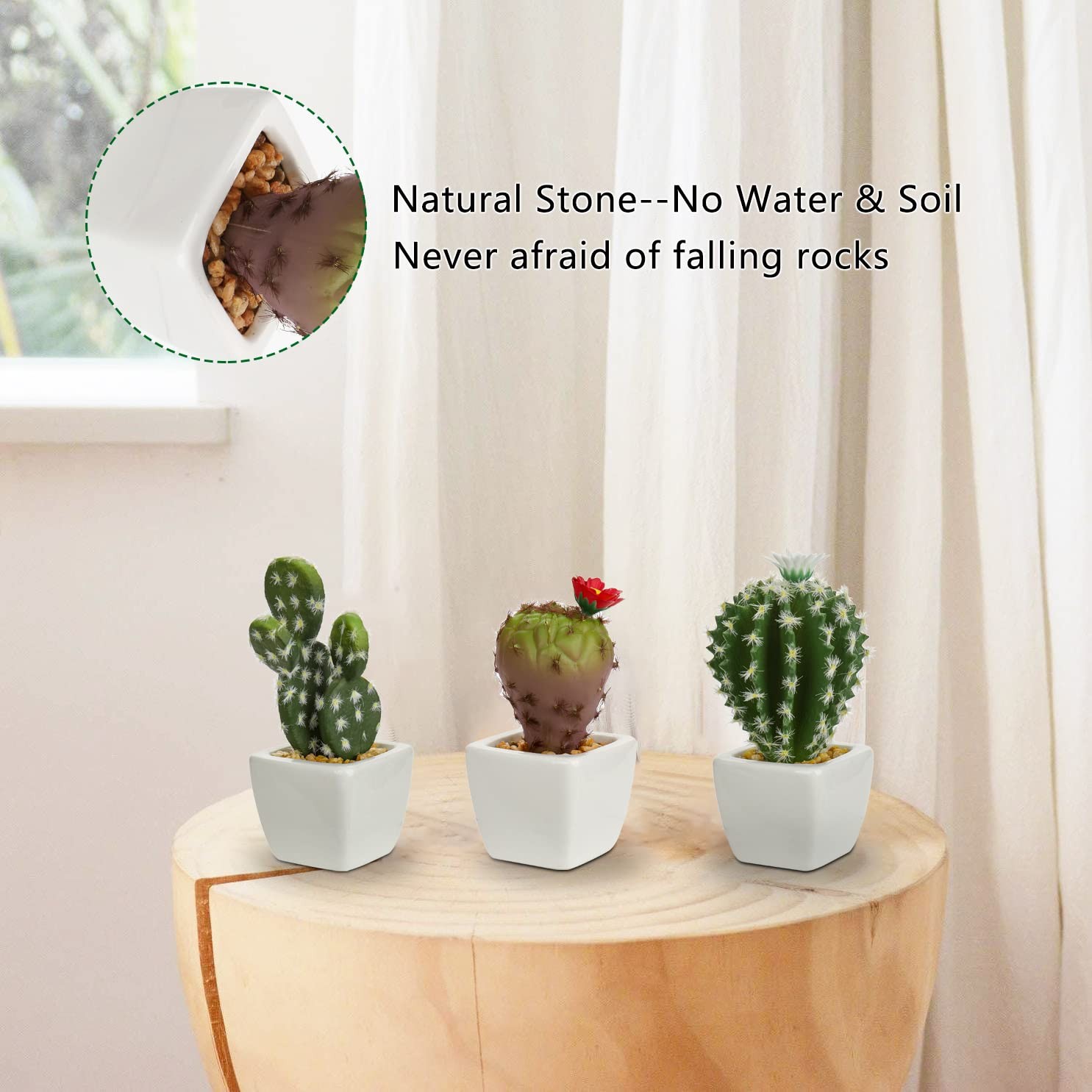 Mini Artificial Cactus Plants in Ceramic Pots 6 Pcs Potted Faux Succulents in…