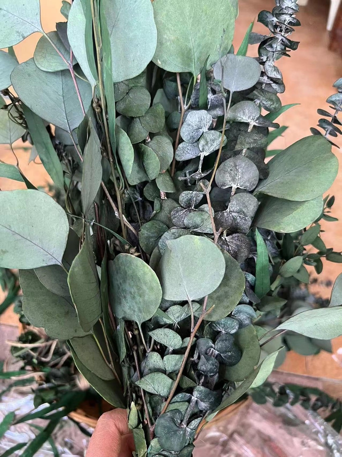 22 PCS Dried Eucalyptus for Shower Bundle, 17” Real Large Preserved Eucalypt…