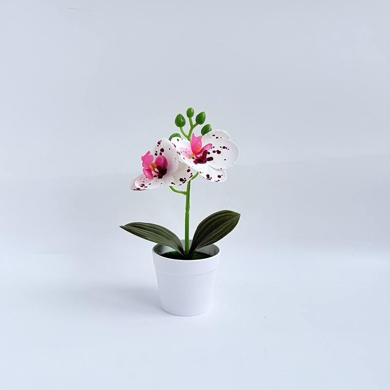 Miniature Phalaenopsis Decor Realistic Butterfly Blooms Handcrafted Detail