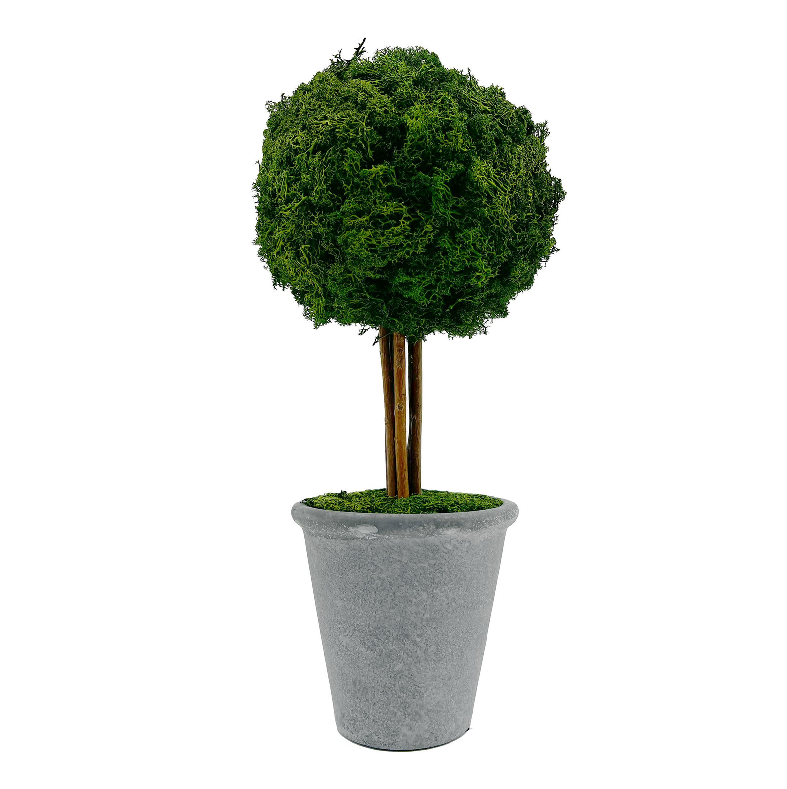 Bergamo Art Preserved 16 Inch Reindeer Moss Ball Potted Topiary Tree Pair Green