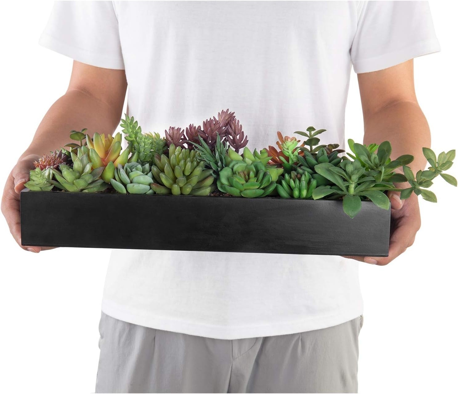 15.75 Inch Faux Artificial Succulent Plants in Rectangular Black Wood Plant Box