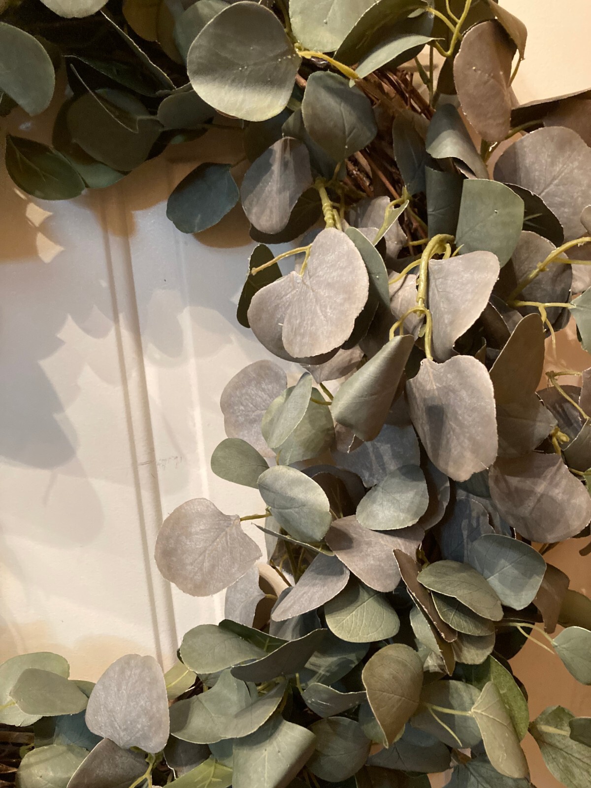 Silver Dollar Eucalyptus Wreath