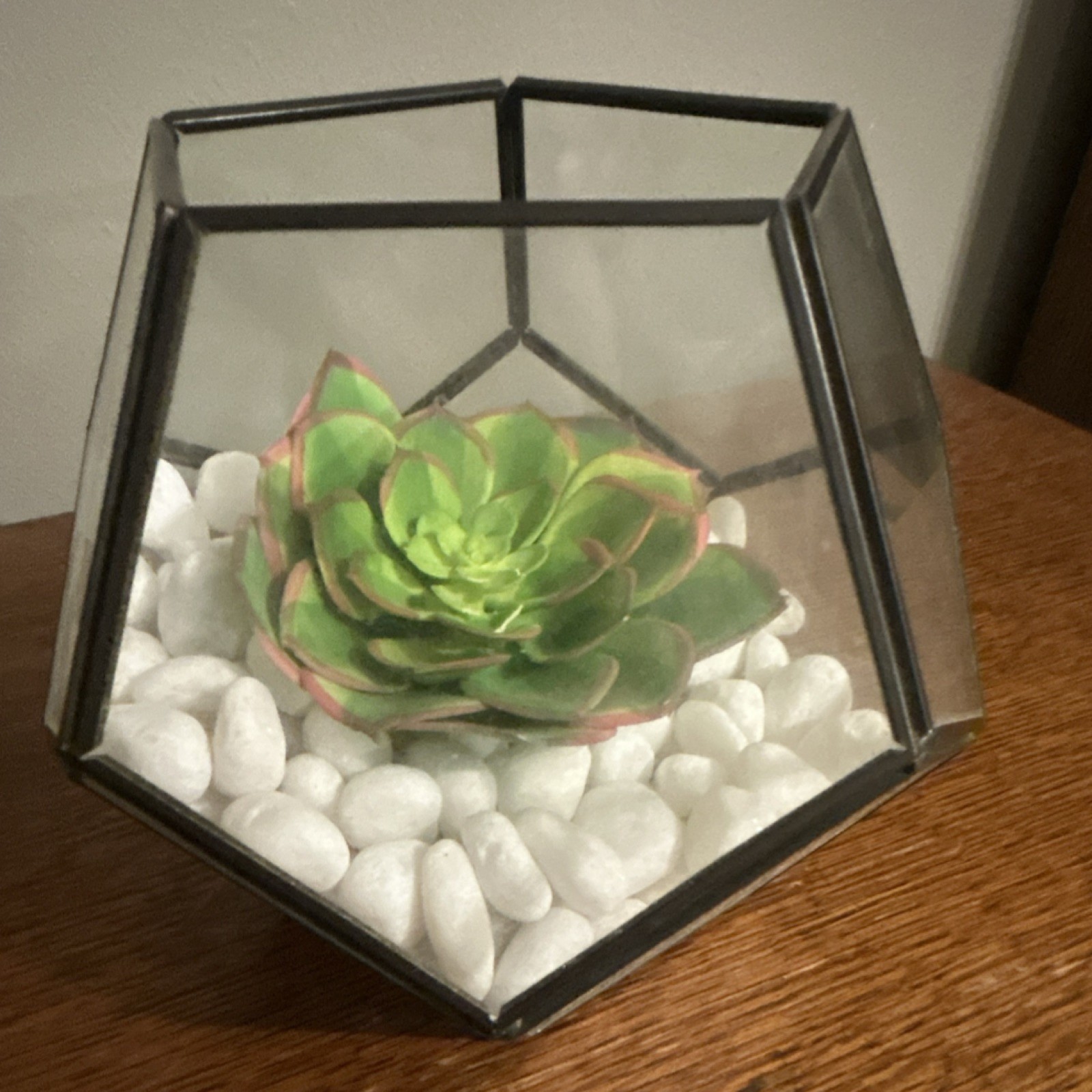Geometric Glass Terrarium, Artificial Succulent and White Stone centerpiece