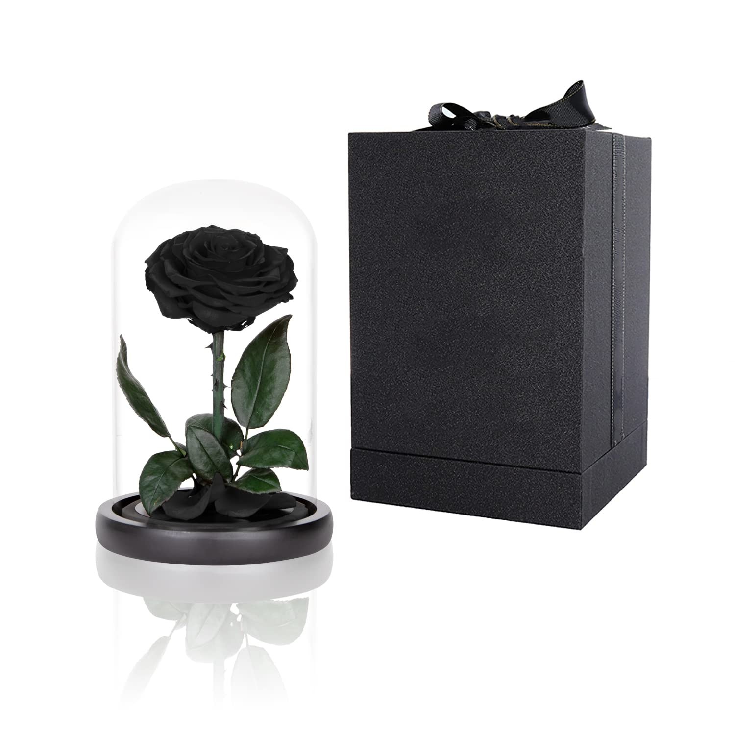Preserved Roses Black Roses in Glass Dome, Medium, Preserved Flowers