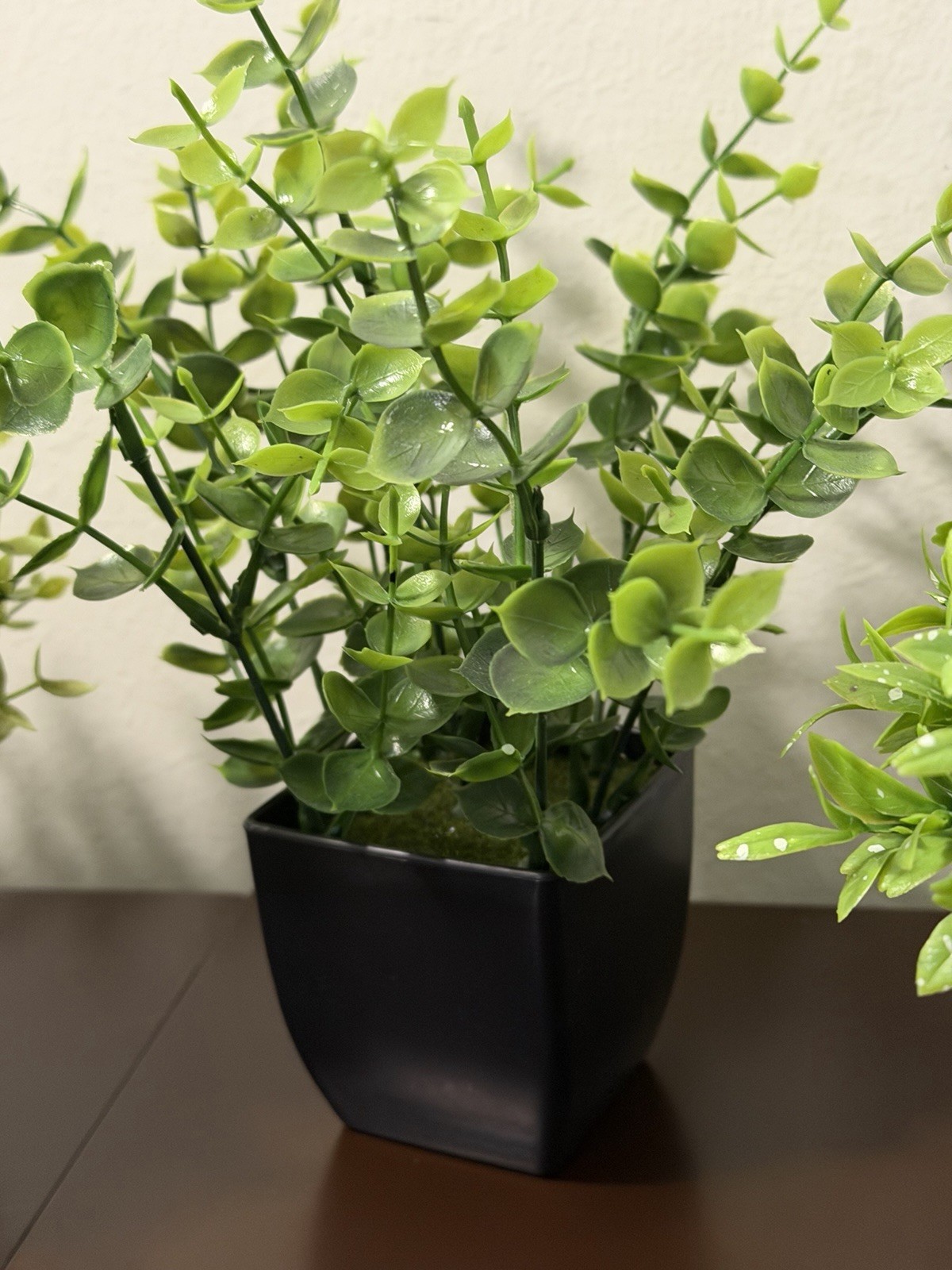 4 Pack Plants Small Faux Artificial Plastic Pots Indoor 3 Black 1 White Pot
