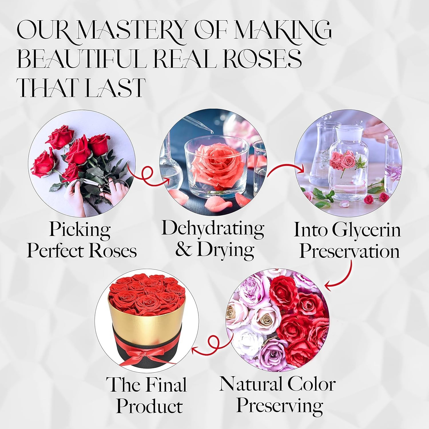 Eternal Preserved Roses in a Box, Flowers Forever, Rose Forever in a Box for …