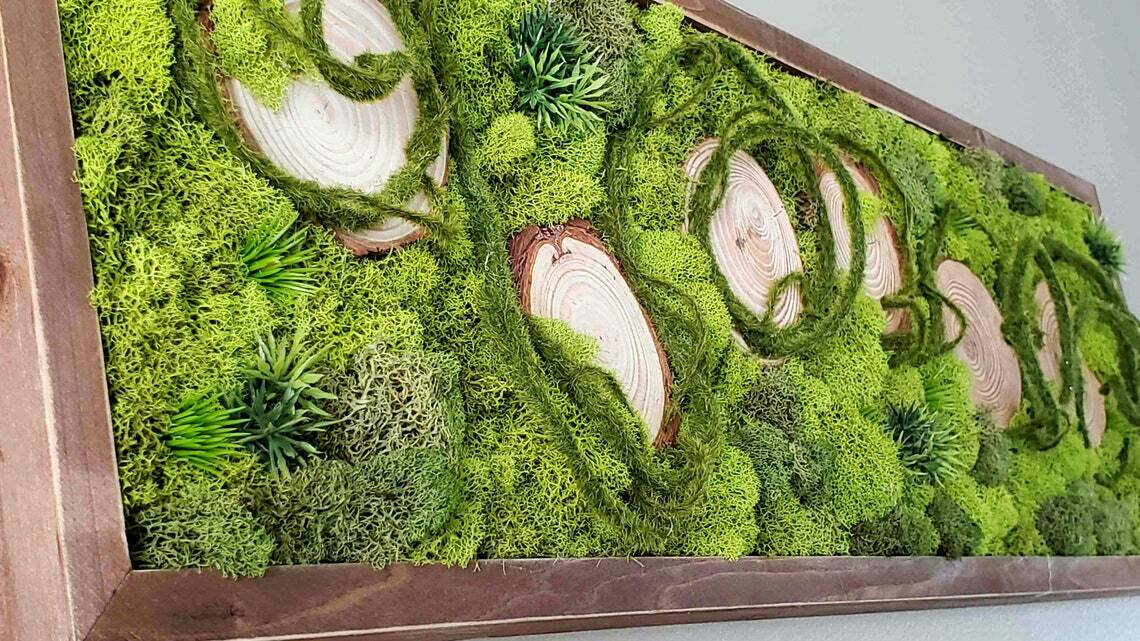 Moss Wall Art, Wood frame, Moss Art Work, Preserved Moss Art 32 inch * 10 inch