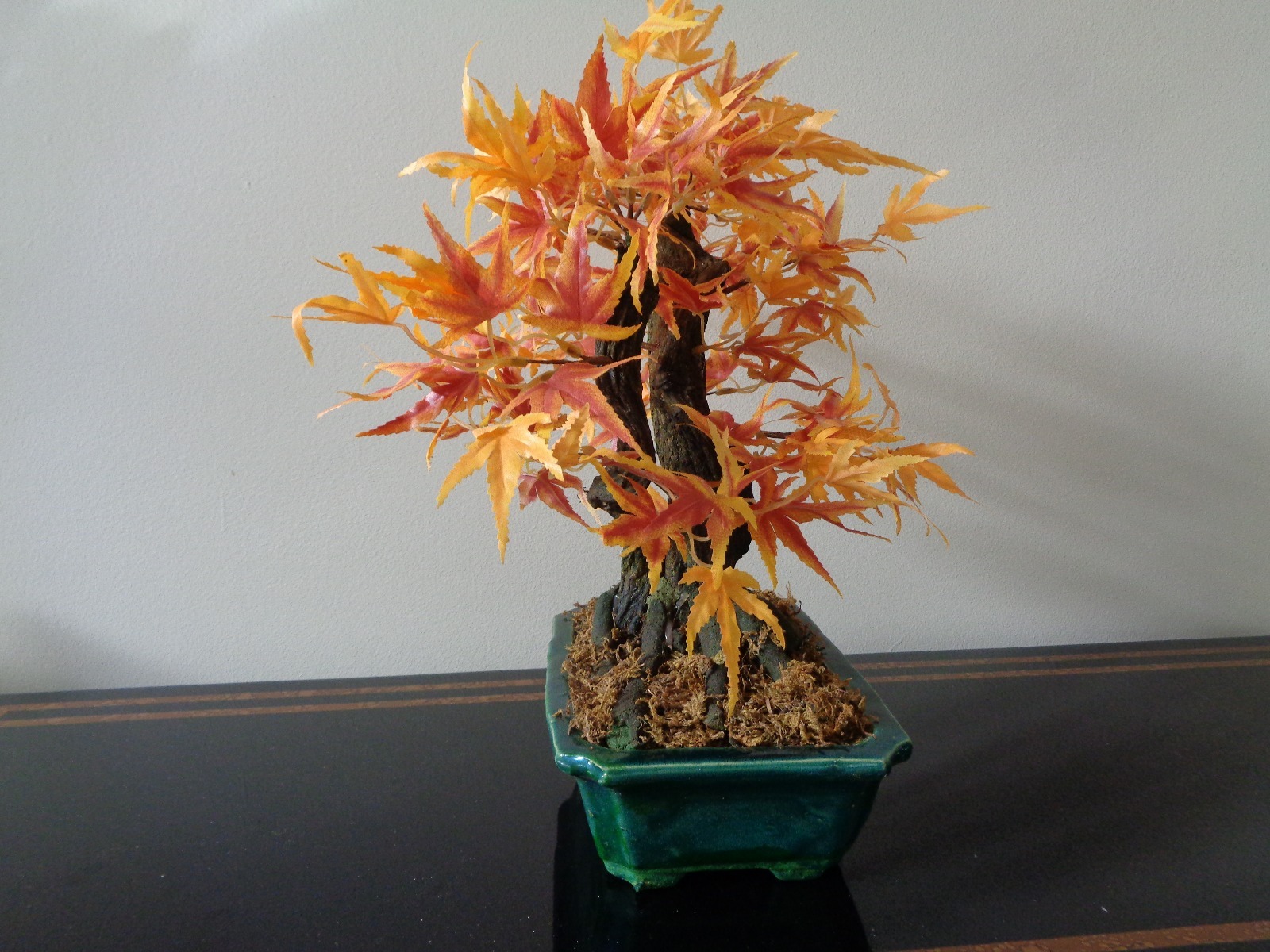 Maple Bonsai Silk Plant 16-Inch In Pot