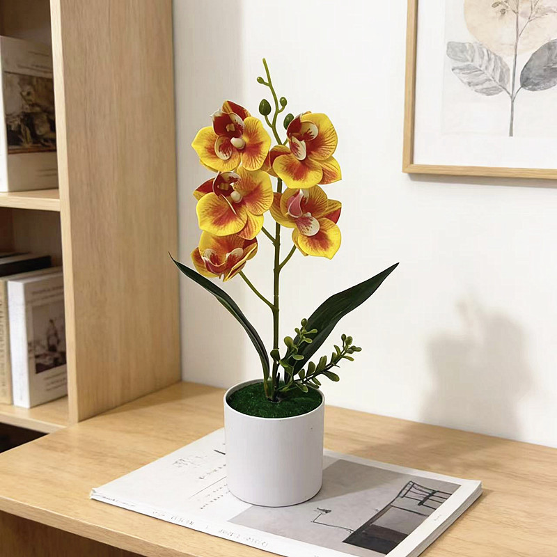 White Yellow Purple Blue Phalaenopsis Orchid Arrangement for Indoor Desk Decor