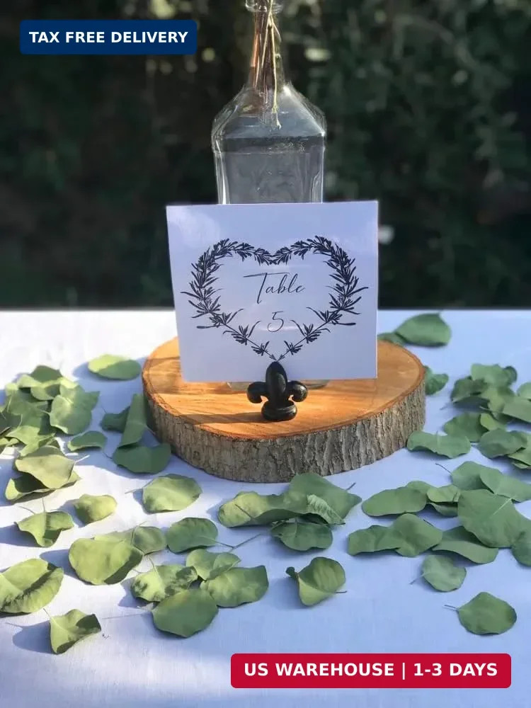 300+ Pcs Dried Real Eucalyptus Leaves,100% Natural Biodegradable Confetti for We
