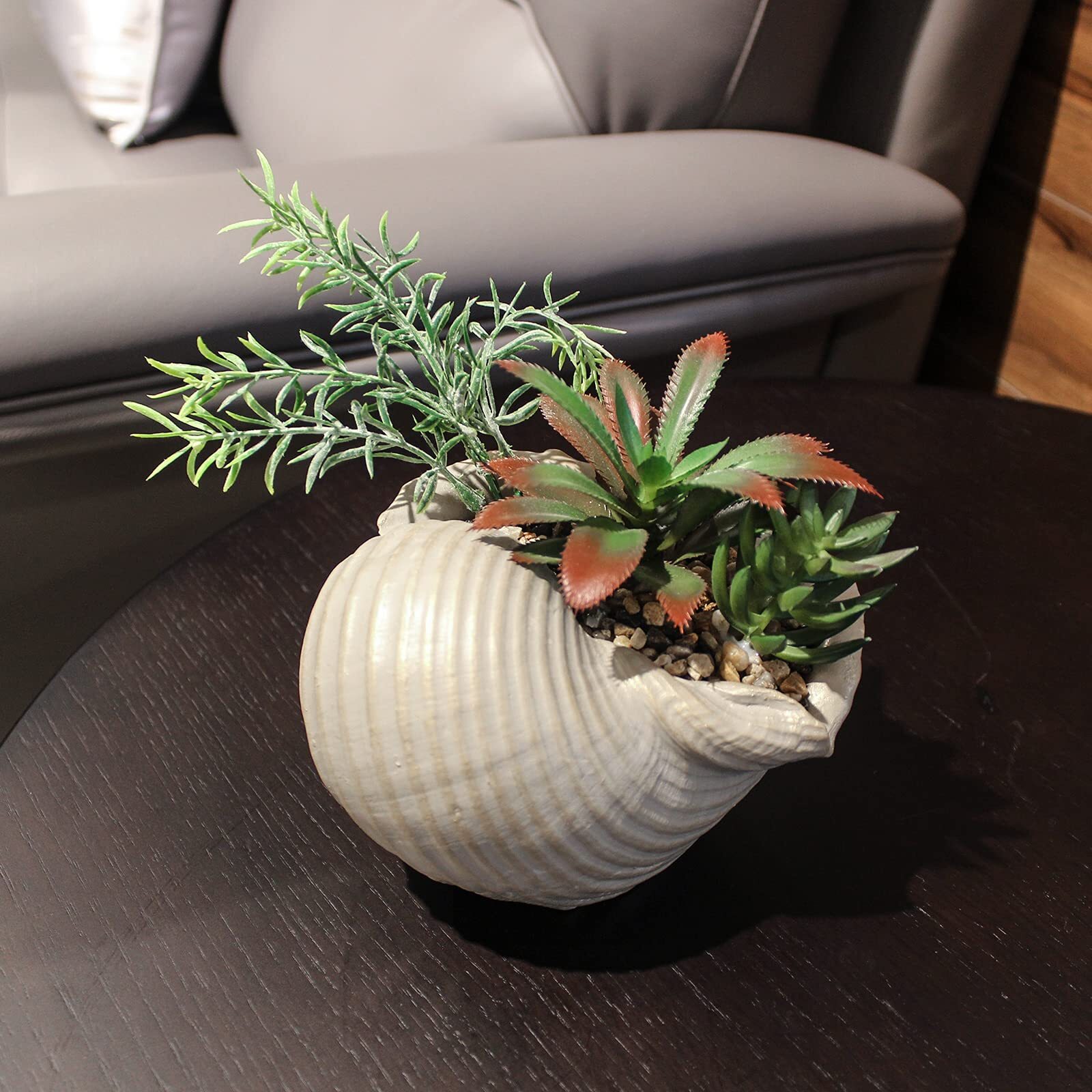 FAUX SUCCULENTS IN CONCH SEA SHELL HOME DECORCOASTAL BEACH DECORATIONS FOR HOME