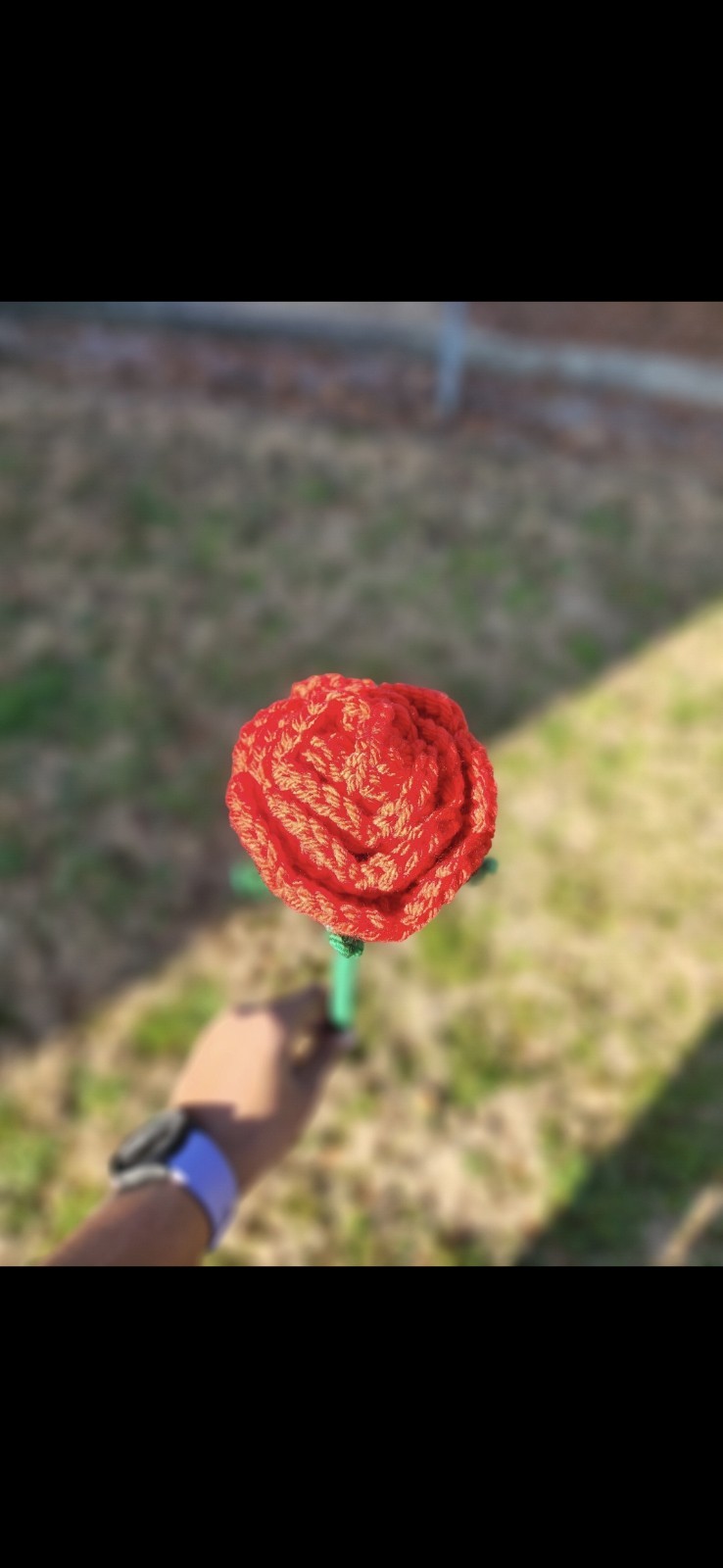 Crochet Rosie