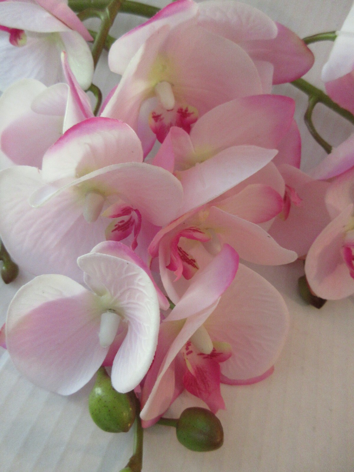 Artificial Butterfly Orchid Floral Flower Double Stem 9 Blooms Home Decor Weddin