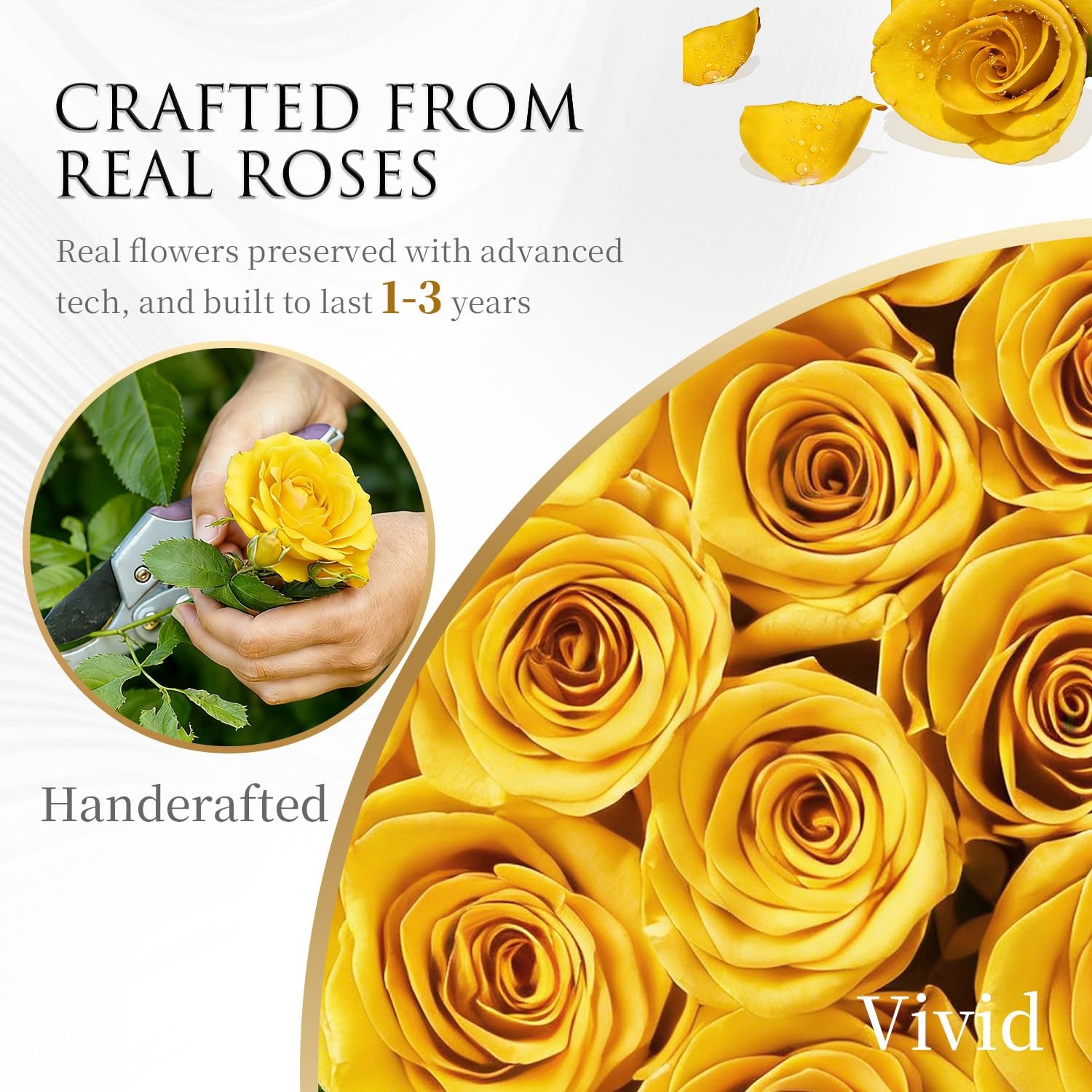 27 PCS Yellow Preserved Roses Forever Flowers Gift Box For Women Mom Wife