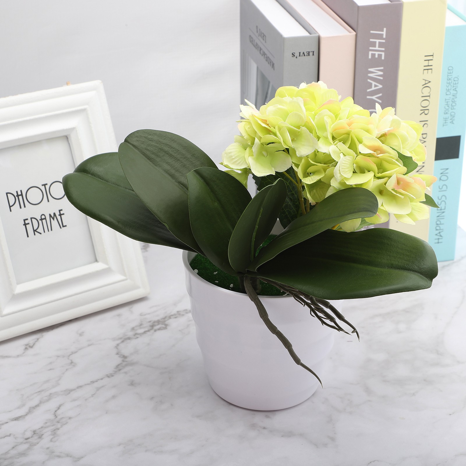 Eva Large 4 Pieces Of Phalaenopsis Leaves Orchid Leaves Wedding Home Decorati US