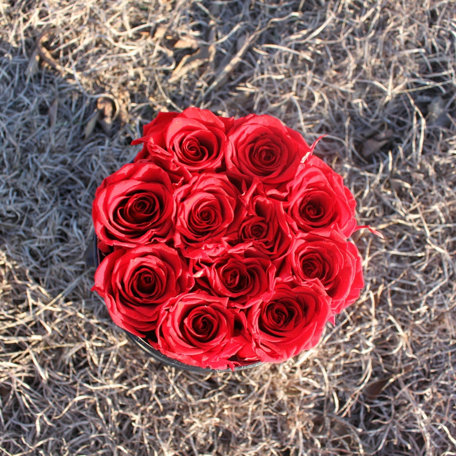 Preserved Forever Roses in a Black Box That Last 2 Years – Red