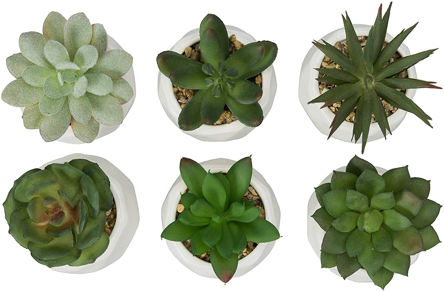 Mini Assorted Artificial Succulents in White Geometric Ceramic Pots, Set of 6