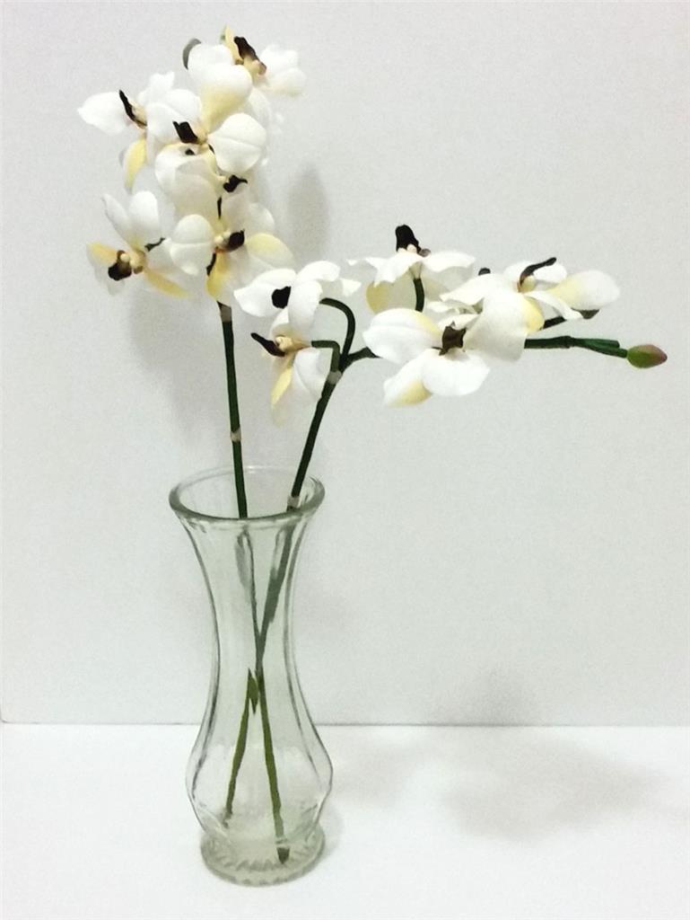 Butterfly Orchid Stems Choose Color