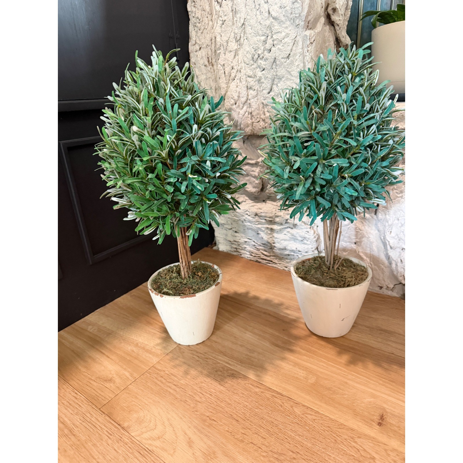 Set of 2 Artificial Olive Topiary Trees in Distressed White Pots 20 Inch Green