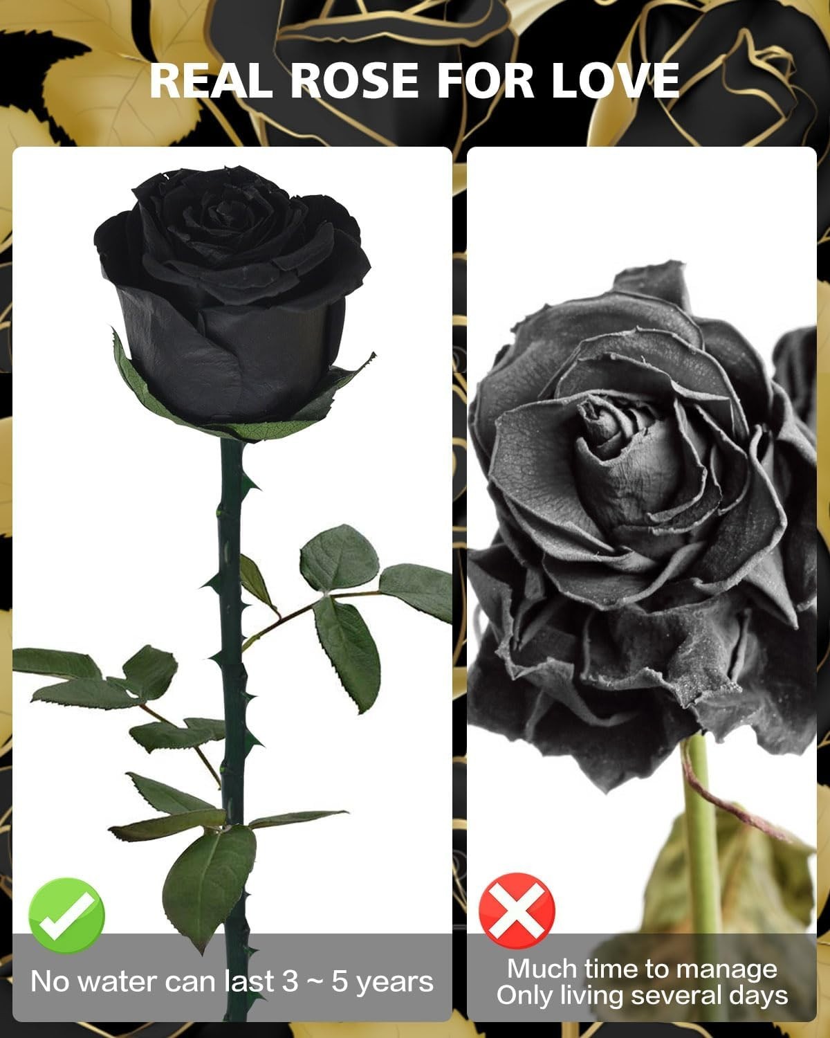 Single Black Preserved Rose – Timeless Gift for Women on Any Occasion
