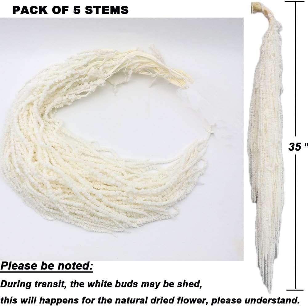 5Pcs Dried Preserved Amaranthus Hanging Flowers 35 Inches White Wisteria Vine…