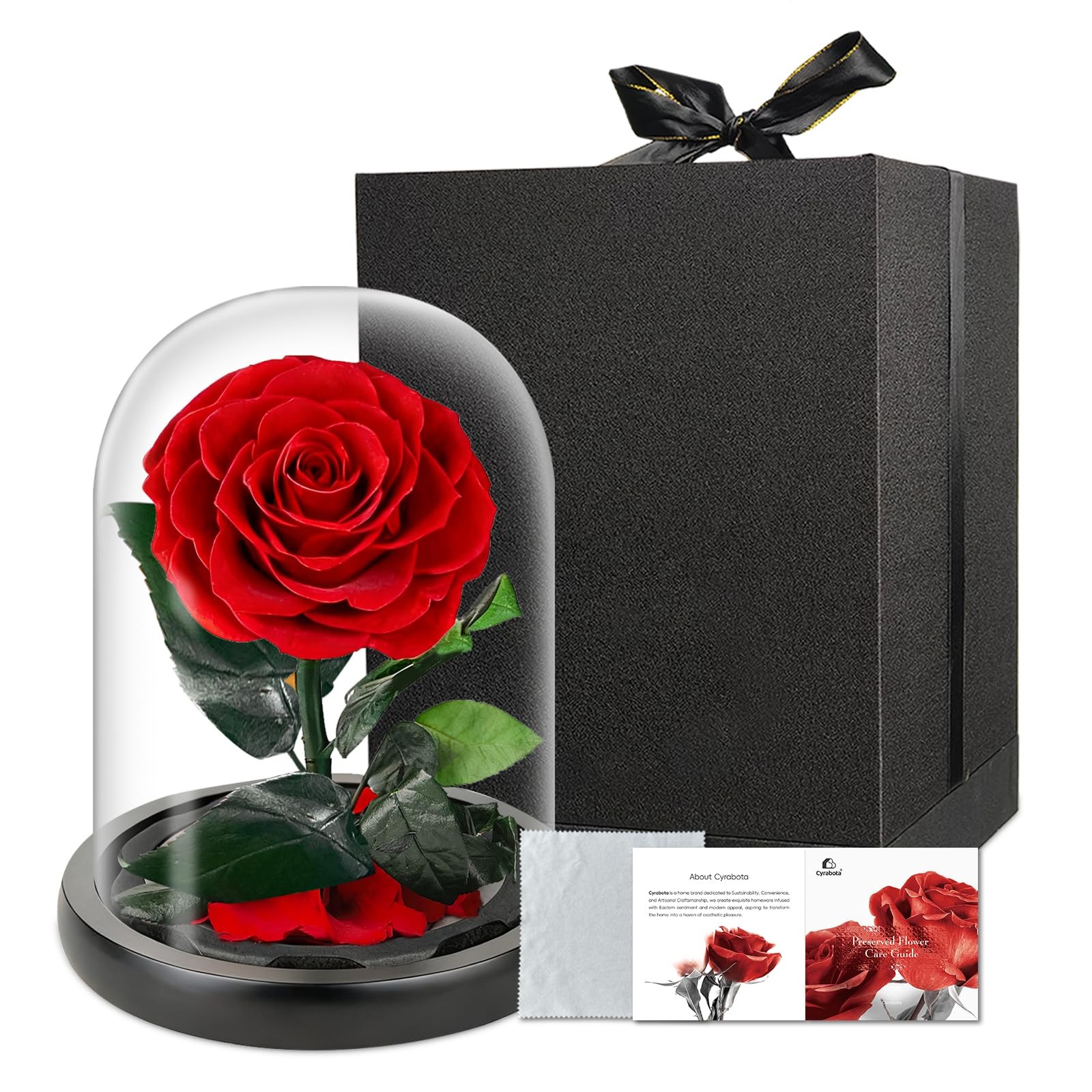 Preserved Rose in Glass Dome, Medium Forever Forever Gift, Flowers for Delive…
