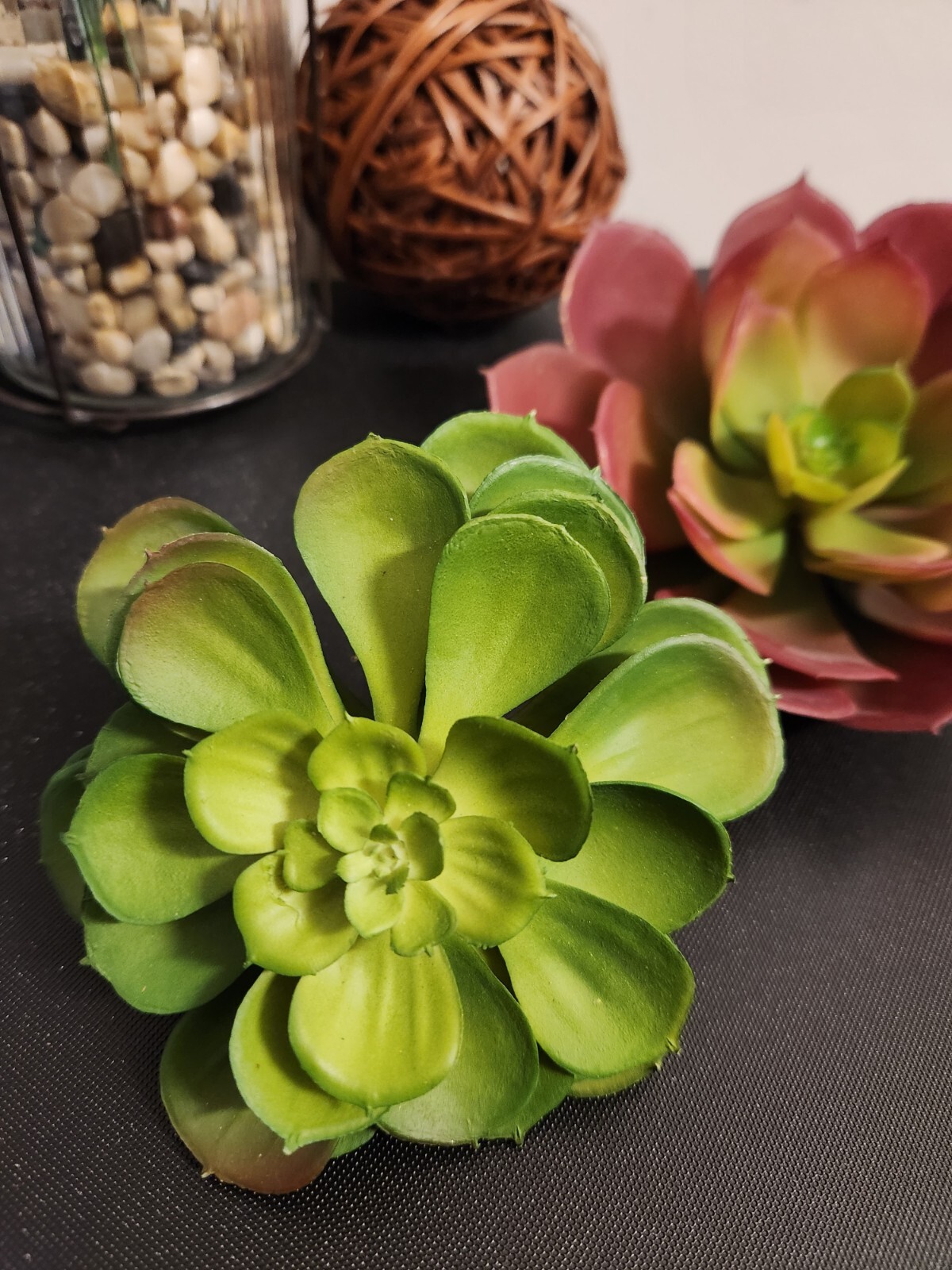 Pier 1 Succulents Set Of 2 Artificial Flowers Brand New 5″ & 7″ Diameter