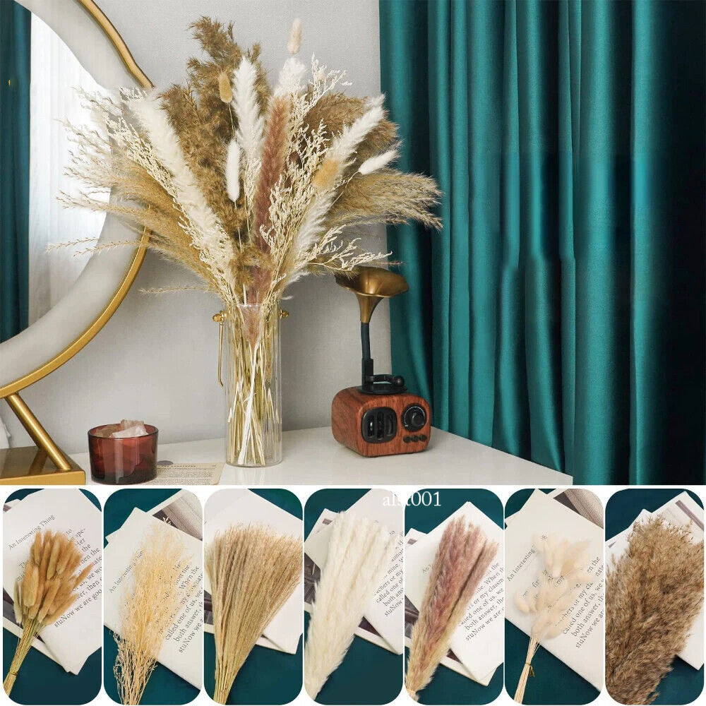 Grass Decor Home Decor Bouquet Natural Fluffy Dried Flowers for Wedding Floral