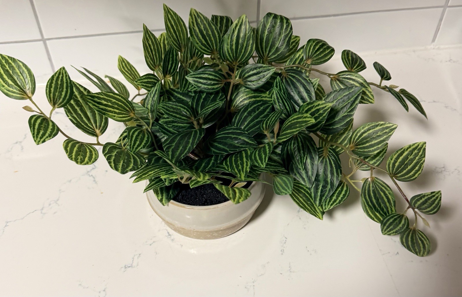 NEW! Ceramic Potted Faux Artificial Plant 6” H 15” L. Office Or Home Plant