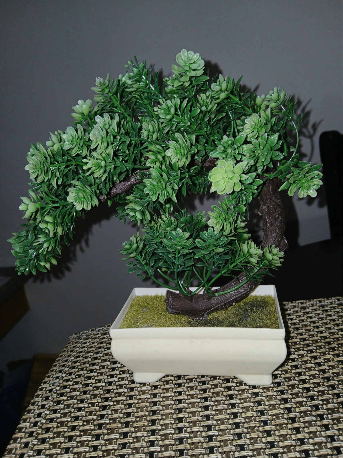 Artificial Japanese Juniper Bonsai Tree Height 8 In for Home Office Indoor