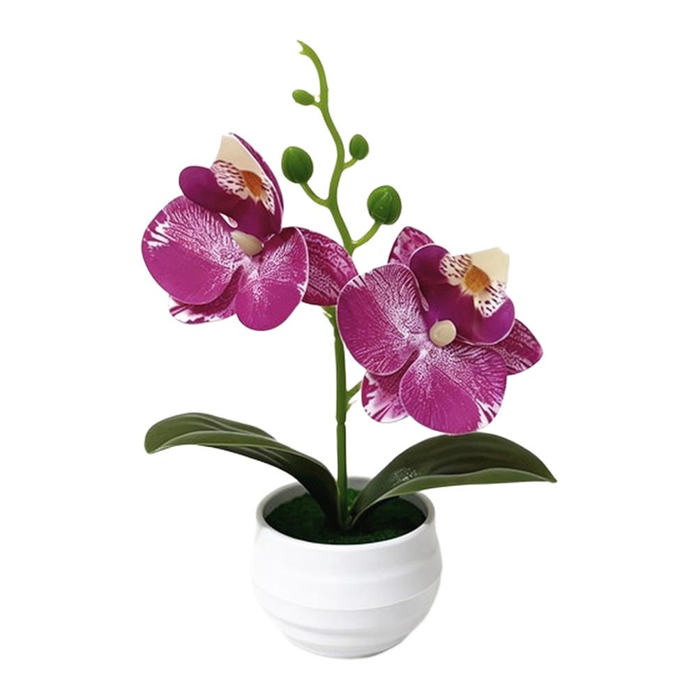 Faux 2-Head Orchid in Striped Pot 6.9 in Tall Realistic Plastic Flower