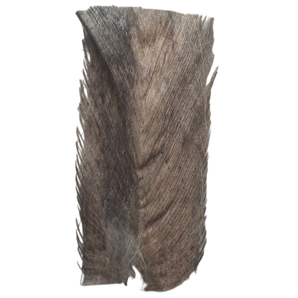 Coconut Tree Spathe for DIY Home Decorations 100% natural organic Free Shipping