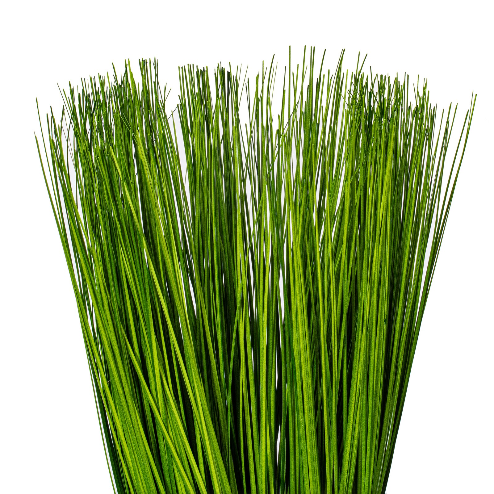 Vickerman 16.5″ Contemporary Plastic Artificial Potted Grass in Green