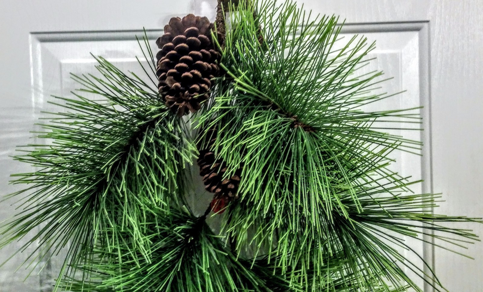 NWT Teardrop of Artificial Pine & Genuine Pine Cones for Door or Wall, 34″ Tall