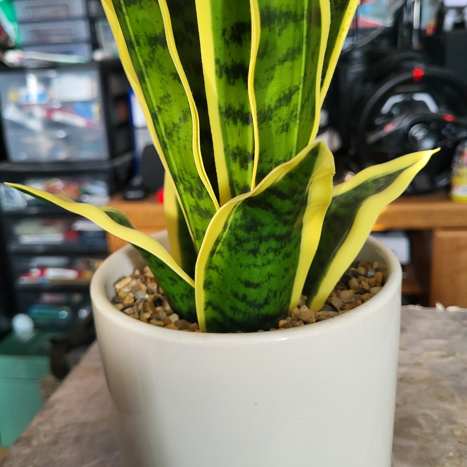 Artificial Snake Plant Potted, Sansevieria (Real Looking) 20″ Tall Porcelain Pot