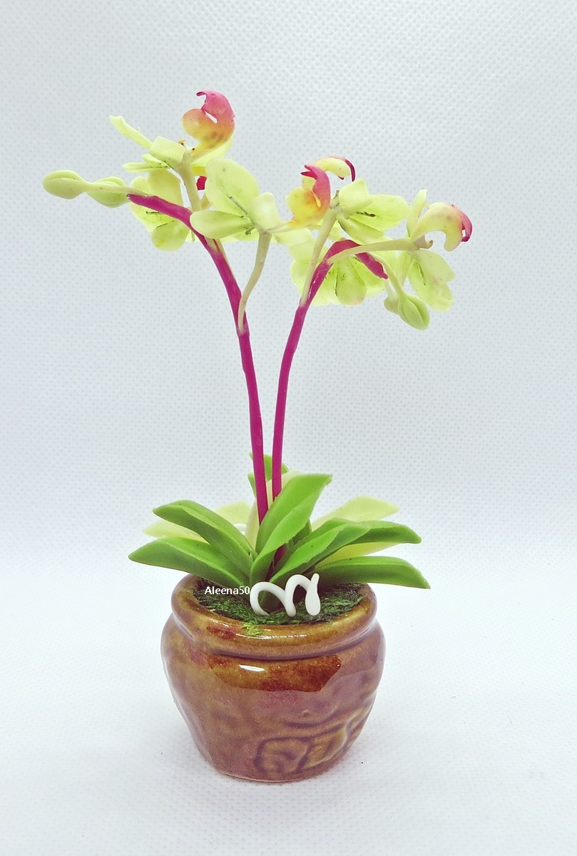 US Stock 4″H Handmade Air-Dry-Clay-Crafted Phalaenopsis Orchid Arranged in Pot