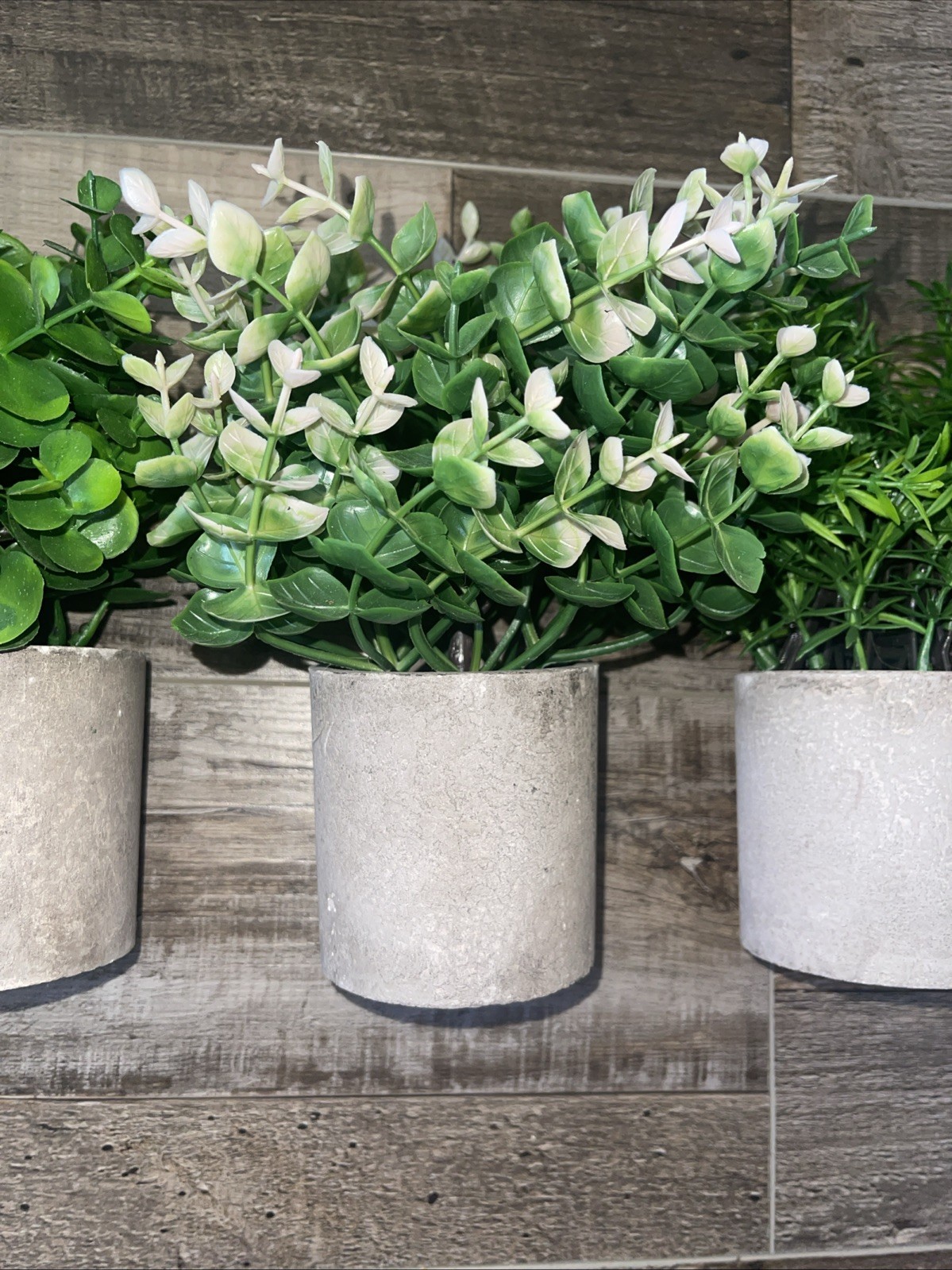 3Pcs Small Fake Plants Desktop Succulents Table Centerpiece Mini Potted -NEW