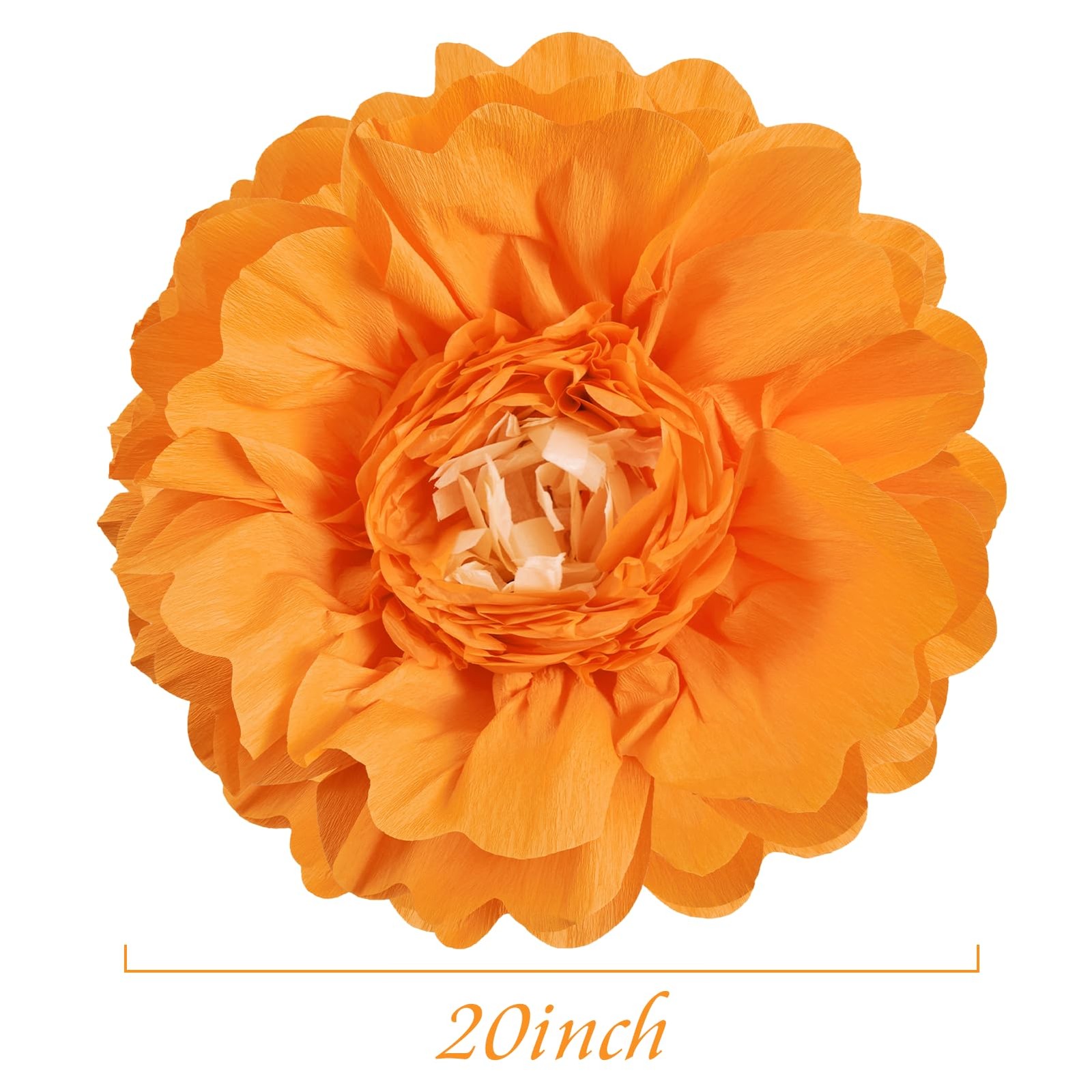 Giant Colorful Paper Flowers Fiesta Tissue Pom Poms Room Wall Decor 20 Inch