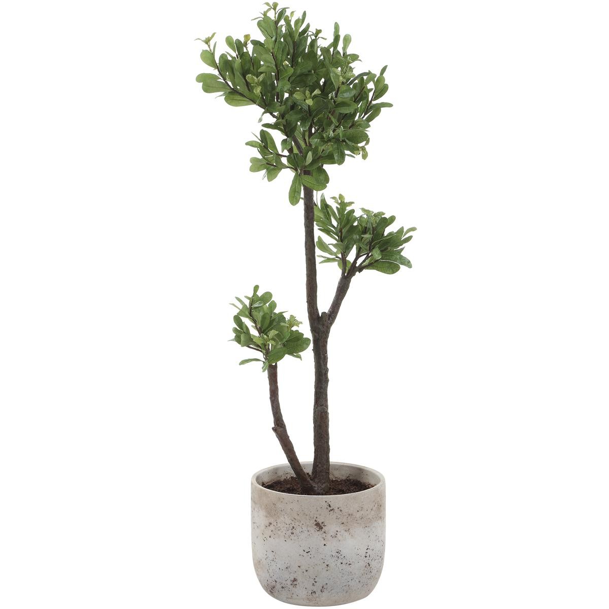 Uttermost 60266 Arbor Strawberry Aged Ivory and Green Tree