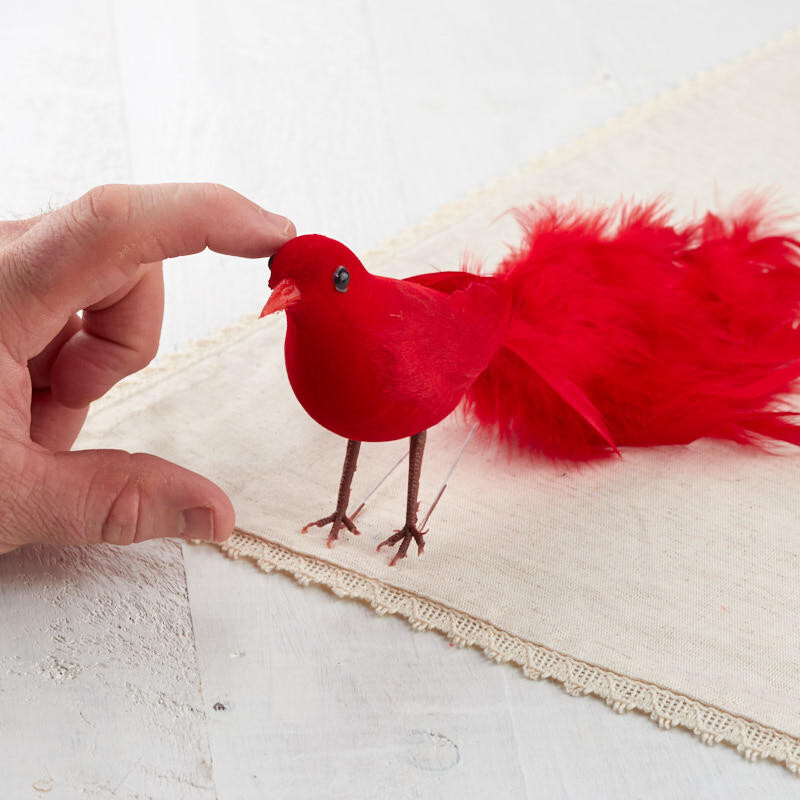 Pack of 6 Rich Red Long Feathered Tail 10-3/4″ Artificial Birds