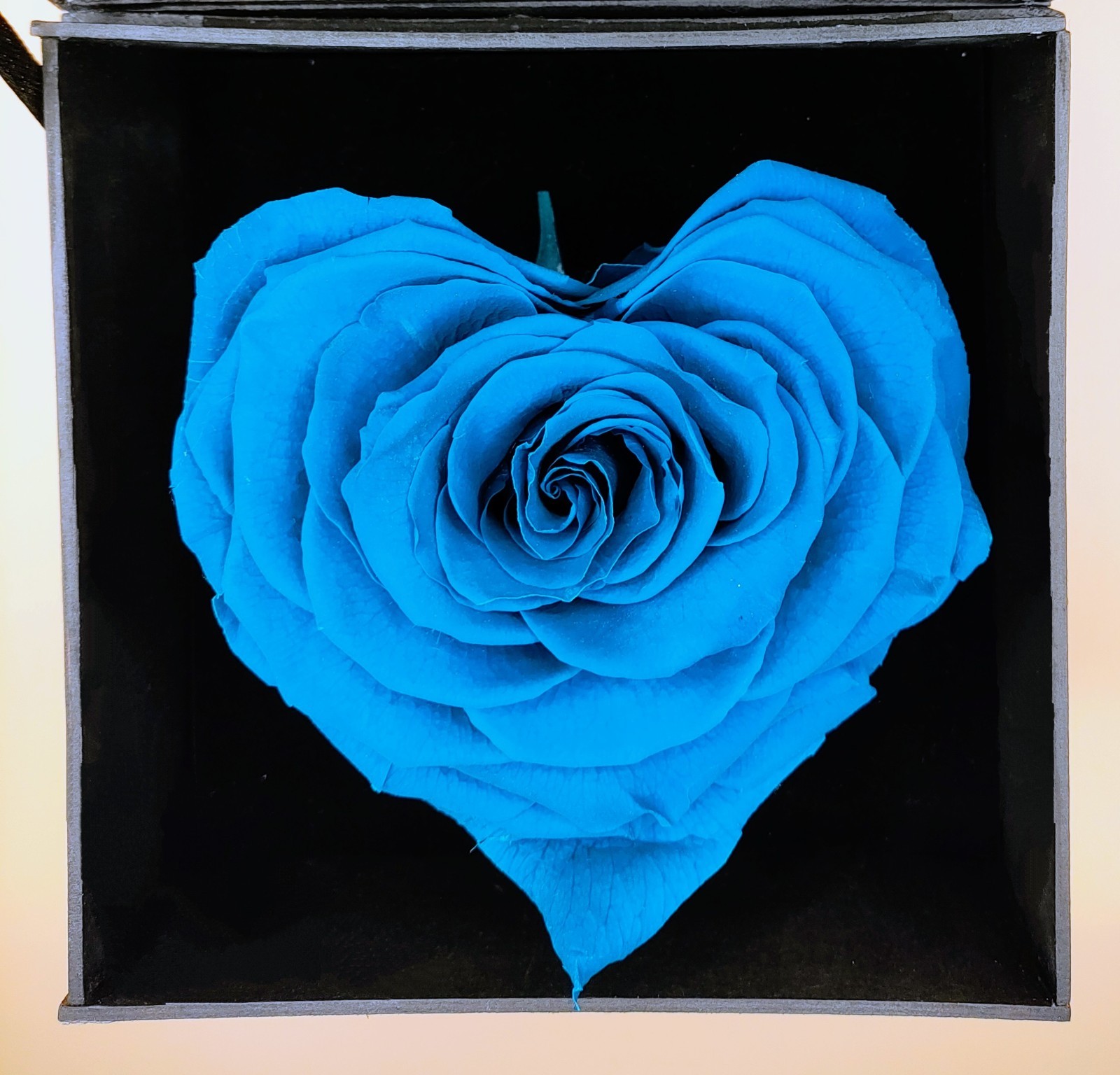 Natural (Forever) roses, 10 cm in heart. The best gift for mom, Him, Her.