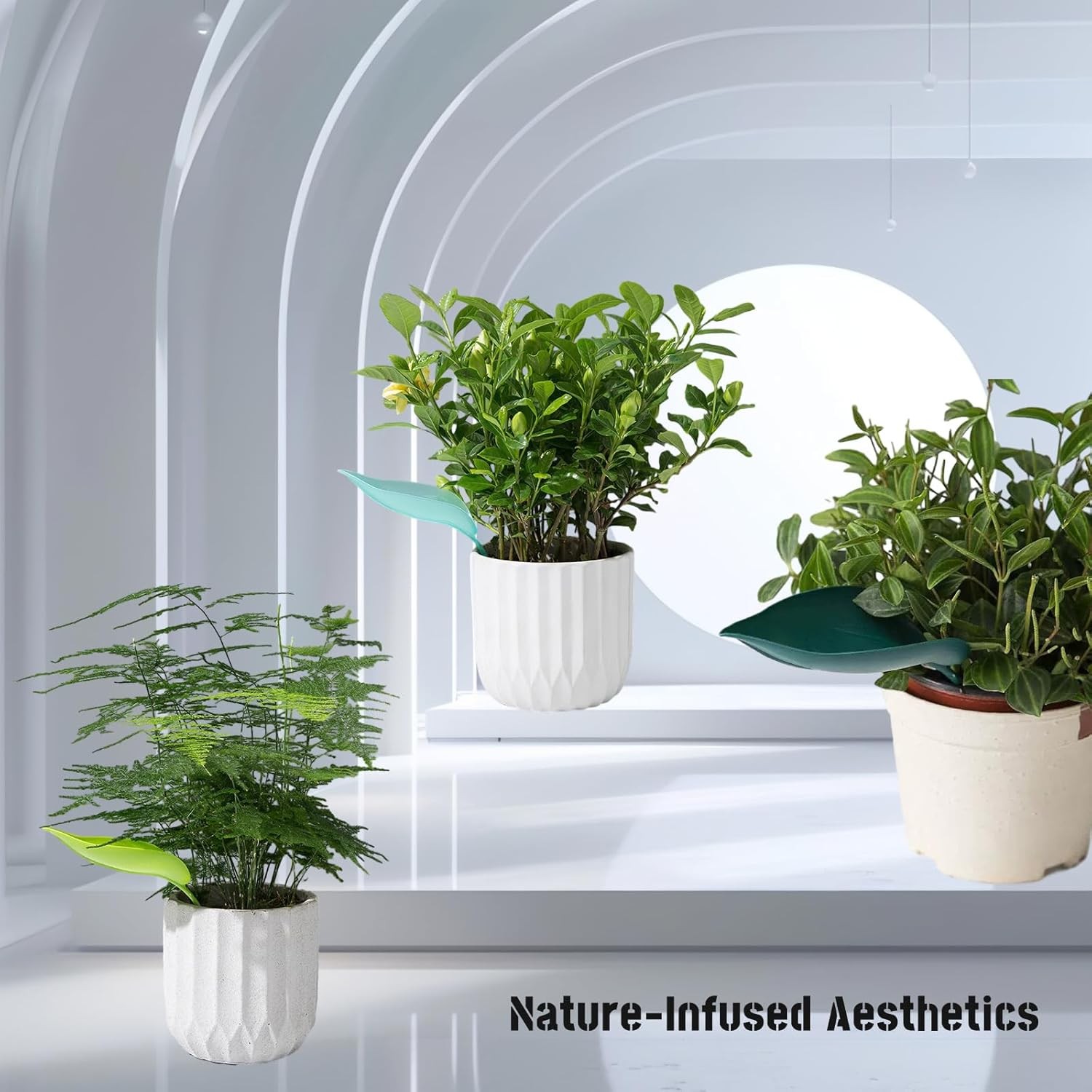 9PCS Leaf Plant Watering Devices Funnel Indoor Outdoor Plants