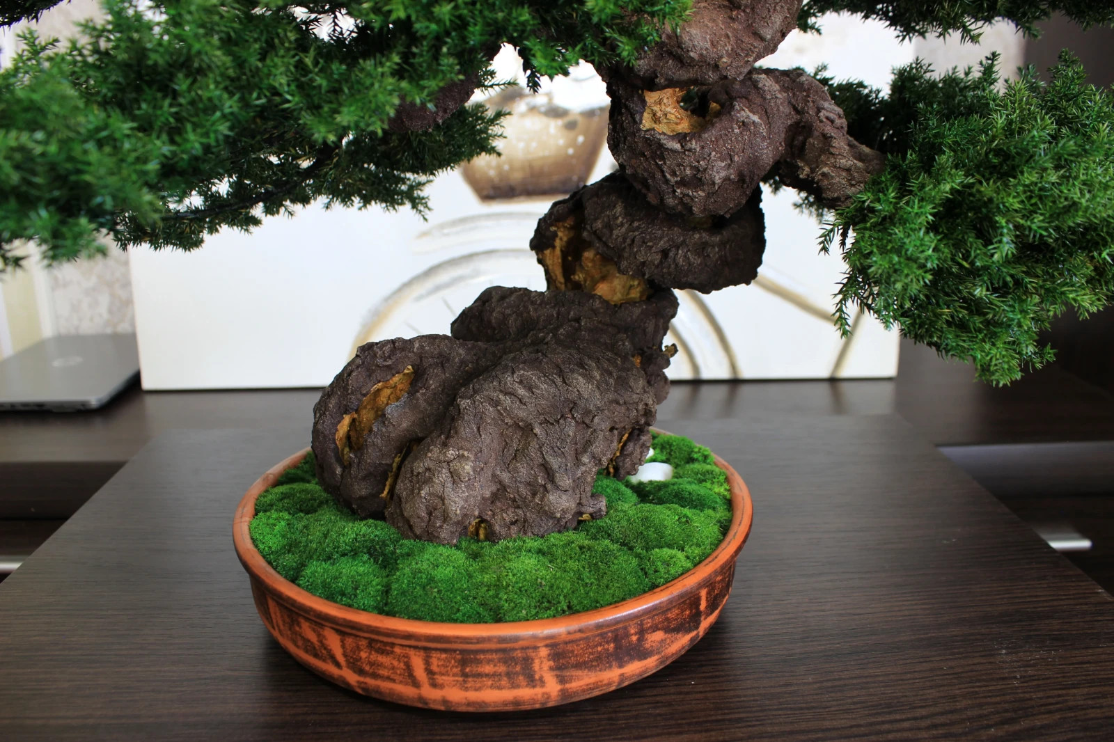 Artistic Preserved Bonsai Tree – Handmade Juniper Decor Sculpture. 49 cm / 19.3″