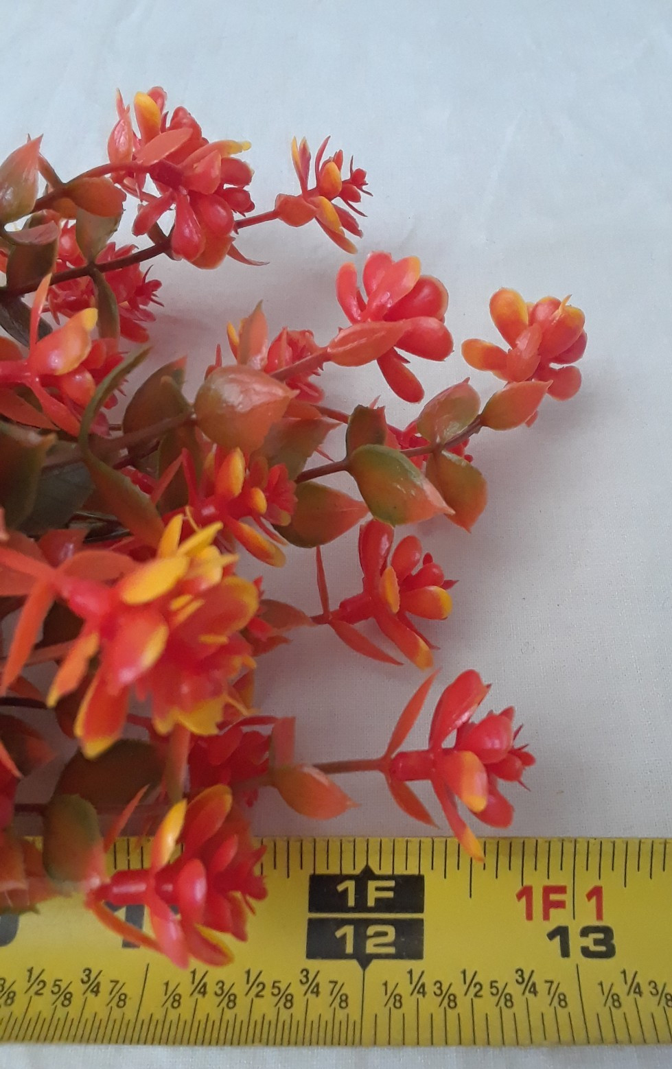 Lot of Four Dried Orange Flowers Decor for Home Deco Art Projects 12″ Bunch