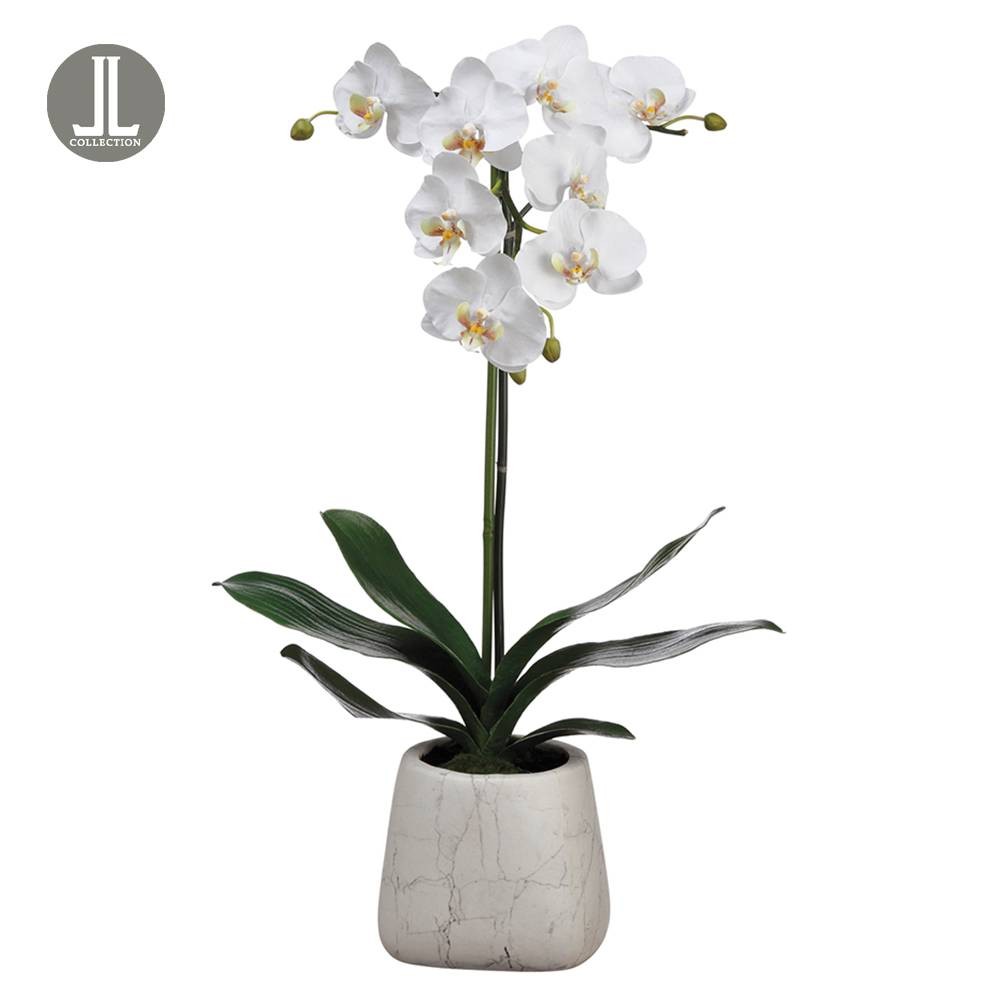 White Phalaenopsis 30″ High Faux Flowers in Faux Marble Vase
