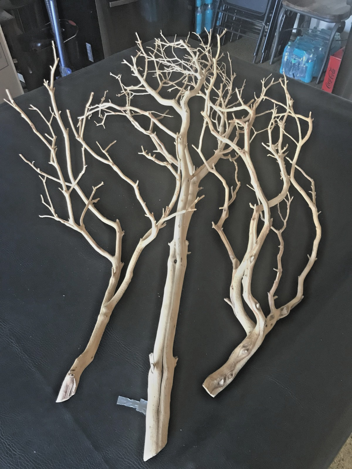 MANZANITA SAND BLASTED BRANCHES [ 3 ]