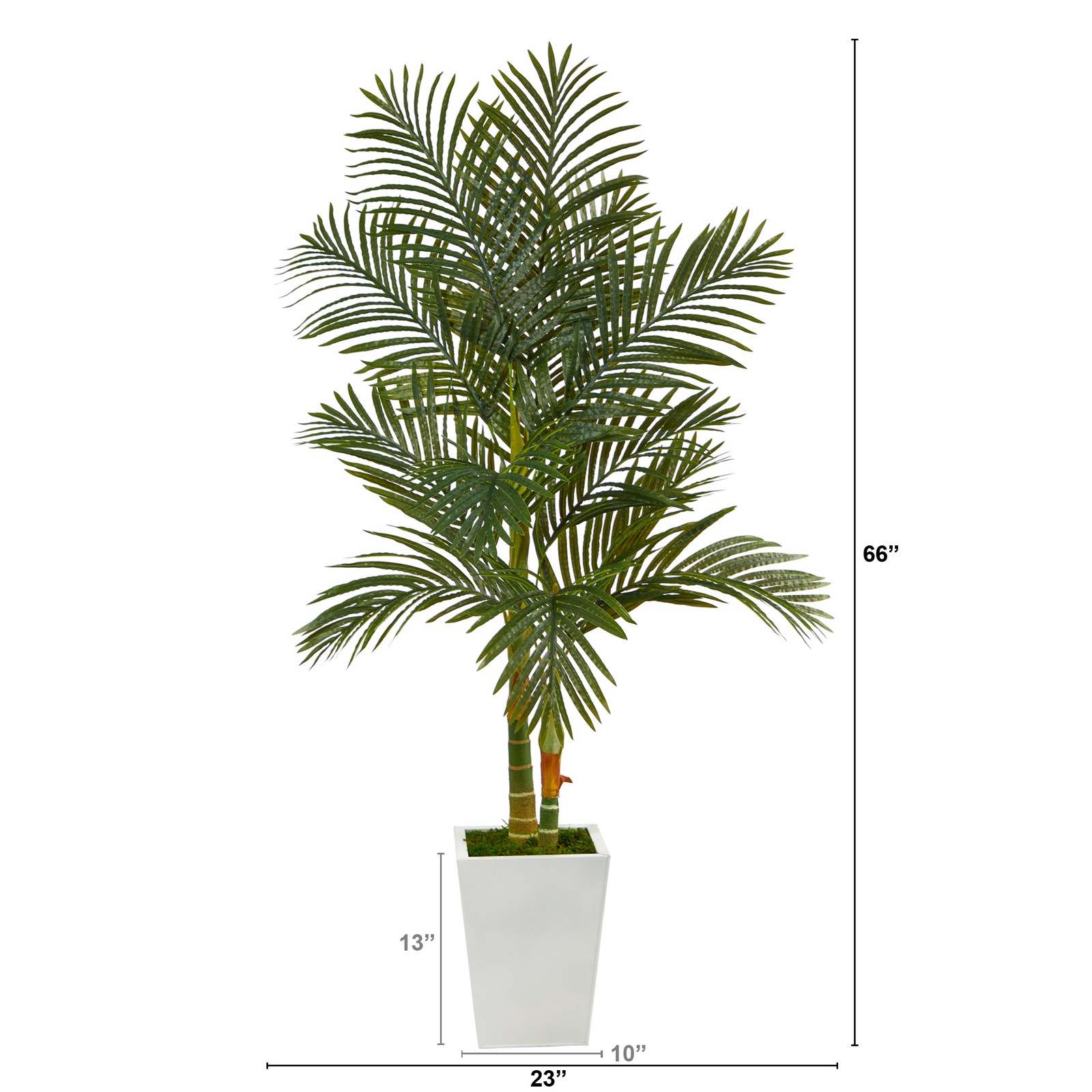 66″ Golden Cane Artificial Palm Tree in White Metal Planter in Green/Black