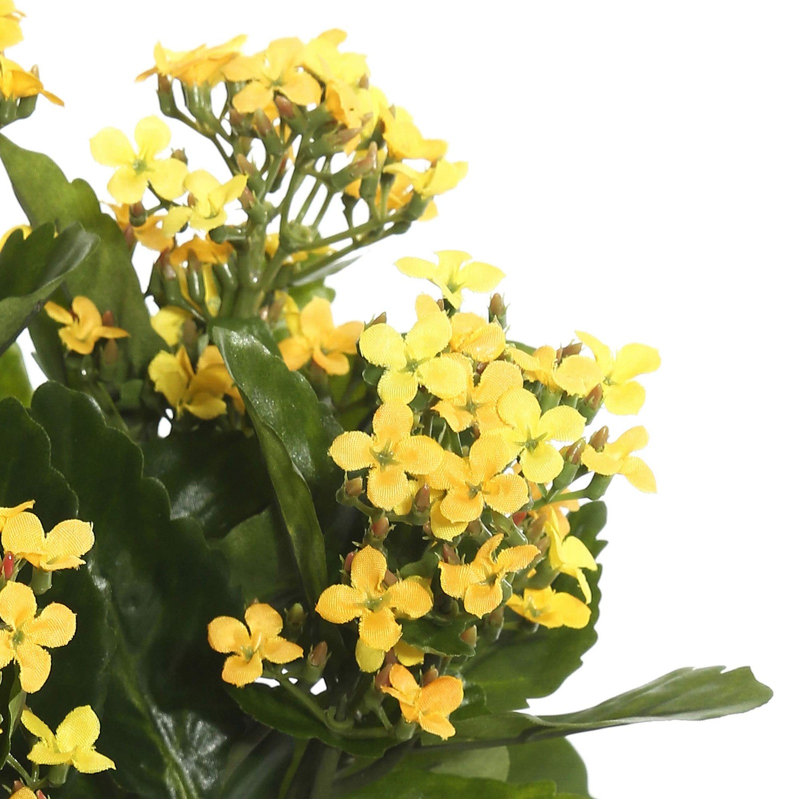 Vickerman 17.25″ Contemporary Fabric Artificial Kalanchoe Bush in Yellow