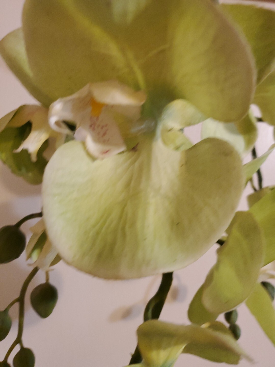 Orchid Stem Green Artificial Flowers Real Touch Plastic