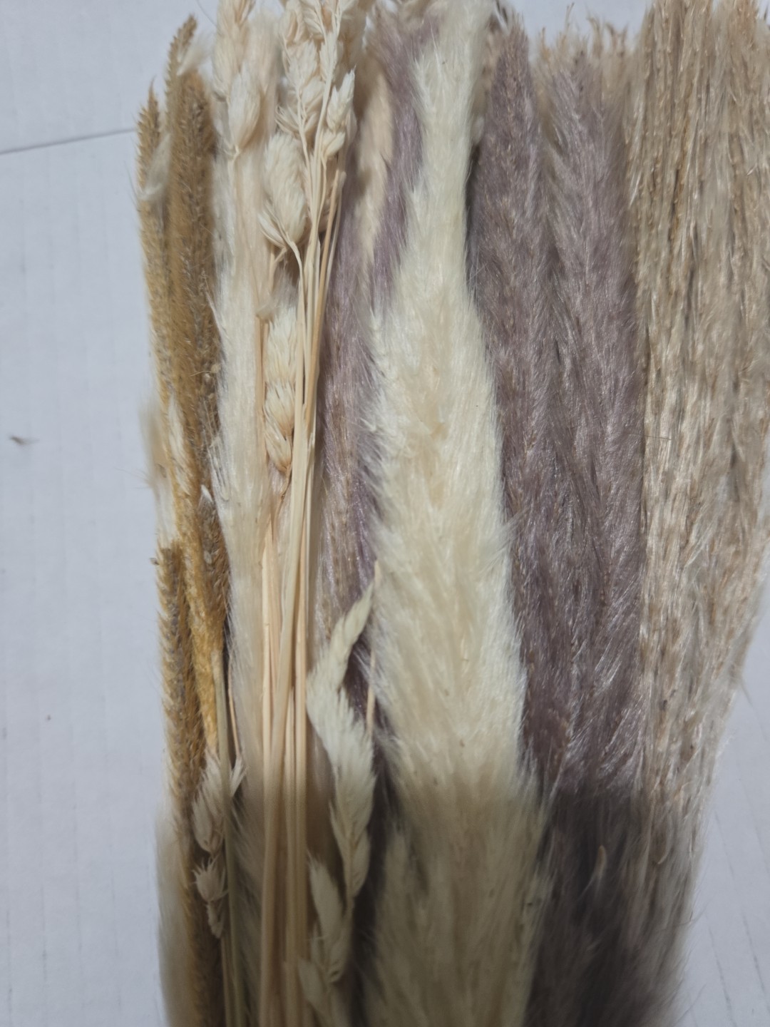 New Yatim Pampas Grass Decor Farmhouse Party Approx. 90 pcs.17in. tall